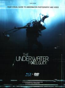 The Underwater Pixelguide<span style=color:#777> 2012</span> 720p BluRay x264-DON [PublicHD]