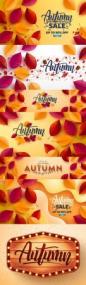 Autumn poster and banner with autumn multi-colored leaves