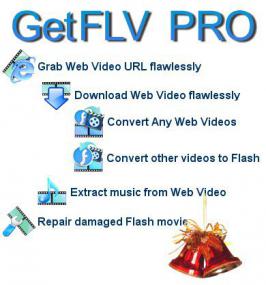 GetFLV Pro 9.5.8.2(malestom)