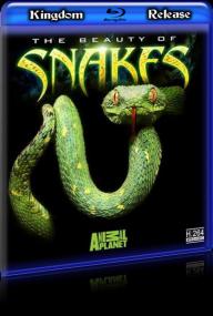 Animal Planet's - The Beauty of Snakes<span style=color:#777> 2008</span> 1080p BDRip H264 AAC - IceBane (Kingdom Release)