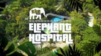 Ch5 Elephant Hospital 1080p HDTV x265 AAC