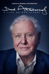 David Attenborough A Life On Our Planet <span style=color:#777>(2020)</span> [2160p] [4K] [WEB] [5.1] <span style=color:#fc9c6d>[YTS]</span>