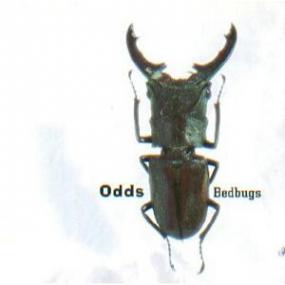 The Odds - 3 Albums<span style=color:#777> 1993</span> -<span style=color:#777> 1996</span> [FLAC] - Kitlope
