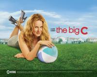 The Big C S01E12 Everything That Rises HDTV XviD-FQM