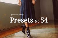 CreativeMarket - 10 Matte Fashion Lightroom Presets 5352796