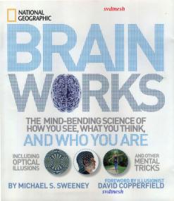Brainworks - The Mind-bending Science of How You See, What You Think, and Who You Are