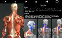 Muscle Trigger Point Anatomy v2 2 2 - trigger points and referral patterns for over 70 muscles Features 100+ trigger points with their