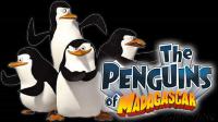 Madagascar and The Penguins of Madagascar Pack 480p H264(BINGOWINGZ-UKB-RG)