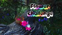 Flower Challenge.7z