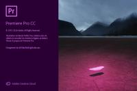 Adobe Premiere Pro CC<span style=color:#777> 2019</span> 13.0.3.8 (x64)