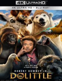 Dolittle<span style=color:#777> 2020</span> 2160p UHD BLURAY REMUX HDR HEVC MULTI VFQ EAC3 x265<span style=color:#fc9c6d>-EXTREME</span>