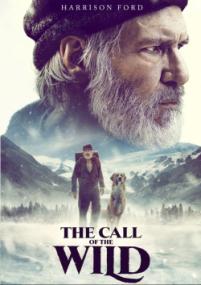 The Call of the Wild<span style=color:#777> 2020</span> MULTi 1080p BluRay x264 AC3-UKDHD