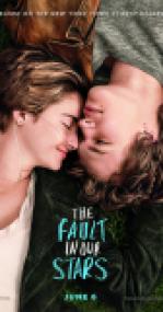 The Fault In Our Stars<span style=color:#777> 2014</span> CAM AAC x264-SSDD