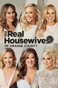 The Real Housewives of Orange County S15E05 An Unexpected Guest HDTV x264<span style=color:#fc9c6d>-CRiMSON</span>