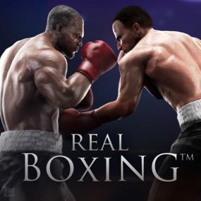 Real.Boxing<span style=color:#fc9c6d>-CODEX</span>