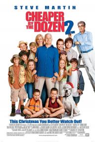 Cheaper by the Dozen 2<span style=color:#777> 2005</span> 1080p BluRay x264 DTS<span style=color:#fc9c6d>-FGT</span>