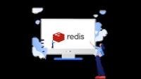 Udemy - Learn Redis with Docker from Scratch in Urdu  Hindi in<span style=color:#777> 2021</span>