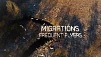 Migrations Frequent Flyers 1080p HDTV x264 AAC