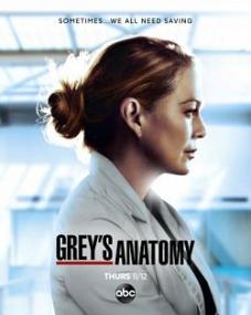 Grey's Anatomy s17e06 subfrench web h264-amb3r