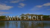 BBC Waterhole Africas Animal Oasis 1080p HDTV x265 AAC