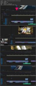 Quick Video Editing with Adobe Premiere Pro CC (12 -<span style=color:#777> 2020</span>)