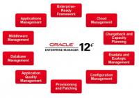 Oracle.12c.Enterprise.Manager.Cloud.Control.v12.1.0.4-NEWiSO- [MUMBAI-TPB]