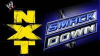 WWE  NXT 23rd and Smackdown 26th NOV<span style=color:#777> 2010</span>   735MB -][VAMPIRE ROCK's][