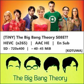 [TiNY] The Big Bang Theory S08E03 (HEVC x265) First Pitch Insufficiency SD HDTV [KoTuWa]