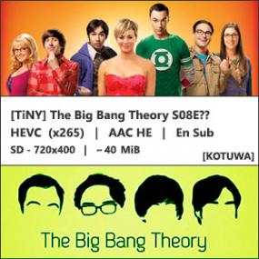 [TiNY] The Big Bang Theory S08E08 (HEVC x265) Prom Equivalency SD HDTV [KoTuWa]