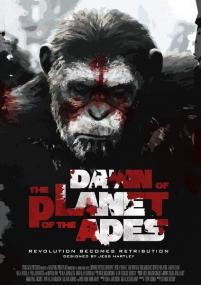 Dawn of the Planet Apes <span style=color:#777>(2014)</span>BRRiP  1080p x264 DD 5.1 EN NL Subs