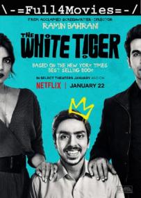 The White Tiger <span style=color:#777>(2021)</span> 480p Hindi HDRip x264 AAC ESub <span style=color:#fc9c6d>by Full4Movies</span>