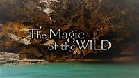 The Magic of the Wild Series 1 3of5 The Crown of North America Waterton Glacier Peace Park 1080p HDTV x264 AAC