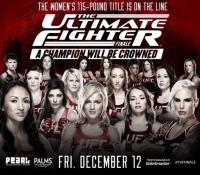The Ultimate Fighter Finale Dec 12th<span style=color:#777> 2014</span> HDTV x264-Sir Paul