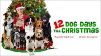 12 Dog Days Till Christmas<span style=color:#777> 2014</span> SDTV x264-POKE