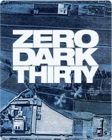 Zero Dark Thirty <span style=color:#777>(2012)</span> 1080p 10bit Bluray x265 HEVC [Org BD DD+ 5.1 Hindi + DD 5.1 English] ESubs ~ TombDoc