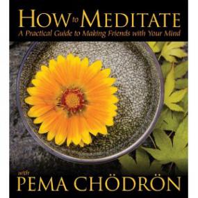 How to Meditate with Pema Chodron - A Practical Guide to Making Friends with Your Mind
