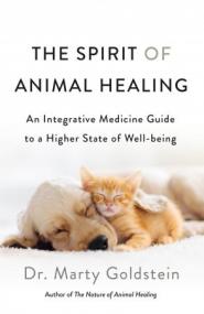 The Spirit of Animal Healing - An Integrative Medicine Guide to a Higher State of Well-being