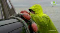 Alaska-Battle on the Bay S01E04 A Whale of a Catch 720p HDTV x264-DHD[brassetv]