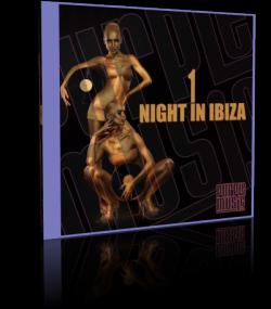 1 Night In Ibiza WEB [mp3-320kpbs]<span style=color:#777> 2014</span>-BG