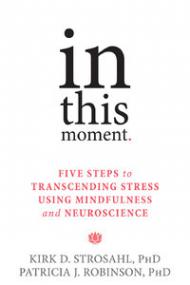 In This Moment Five Steps to Transcending Stress Using Mindfulness and Neuroscience