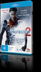 The Protector 2<span style=color:#777> 2013</span> iTALiAN AC3 BDRip Hx264-BaBy
