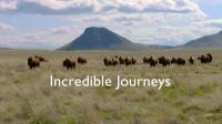 BBC Incredible Journeys with Simon Reeve 1of4 1080p HDTV x265 AAC