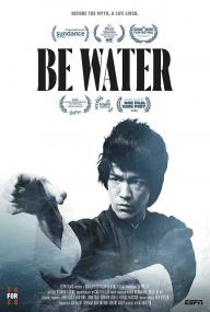 Be Water<span style=color:#777> 2020</span> MultiSub 720p x265-StB