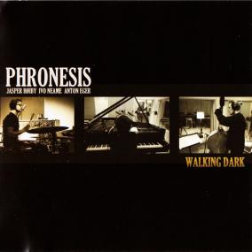Phronesis - Walking Dark <span style=color:#777>(2012)</span>
