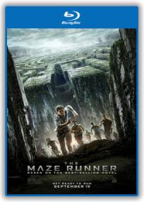 The Maze Runner<span style=color:#777> 2014</span> 720p BRRip 999MB