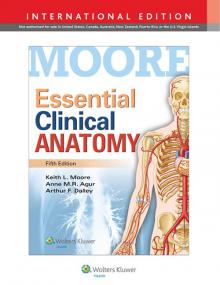 Essential Clinical Anatomy, 5E Int - Moore [PDF] [StormRG]