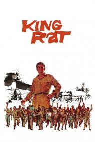 King Rat <span style=color:#777>(1965)</span> [1080p] [WEBRip] <span style=color:#fc9c6d>[YTS]</span>