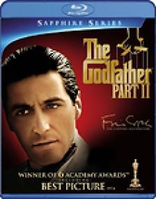 Godfather, The Part II <span style=color:#777>(1974)</span> 1080p BluRay x264 RiPSalot
