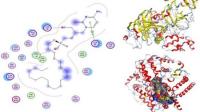 Udemy - Drug Design and Molecular Docking by using computation Tools