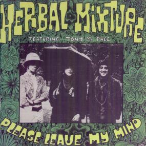 The Herbal Mixture - Groundhogs (Tony McPhee) <span style=color:#777>(1996)</span> [FLAC]